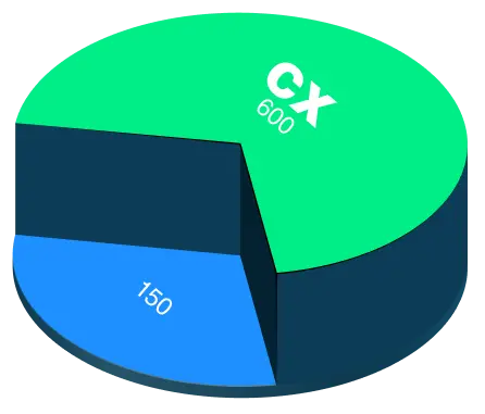 pie-chart 